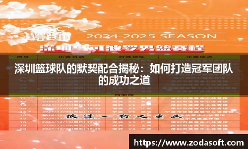 深圳篮球队的默契配合揭秘：如何打造冠军团队的成功之道
