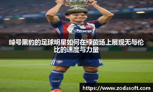 绰号黑豹的足球明星如何在绿茵场上展现无与伦比的速度与力量